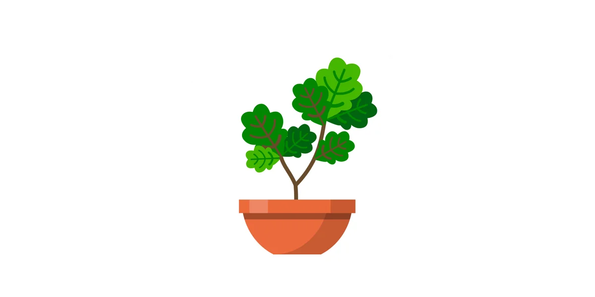 terrarium